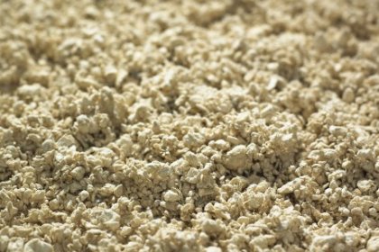 What Is Wood Pulp?