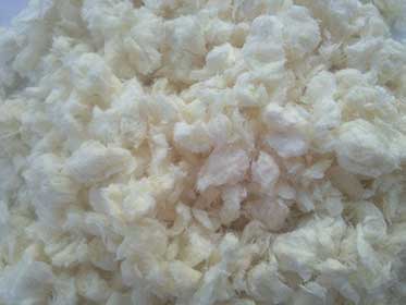 wood pulp