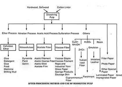 The Function and Prospect of Dissolving Pulp