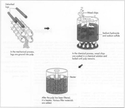 How To Make Paper From Trees